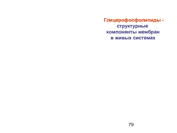 Глицерофосфолипиды - структурные компоненты мембран в живых системах