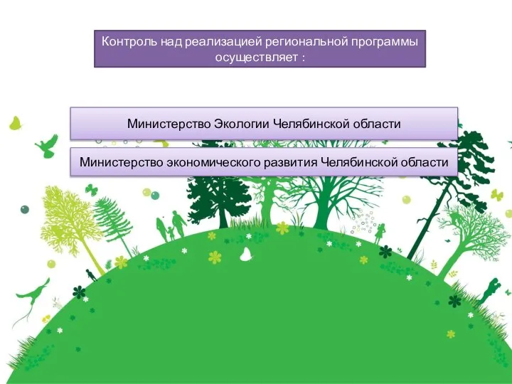 Контроль над реализацией региональной программы осуществляет : Министерство Экологии Челябинской области Министерство экономического развития Челябинской области