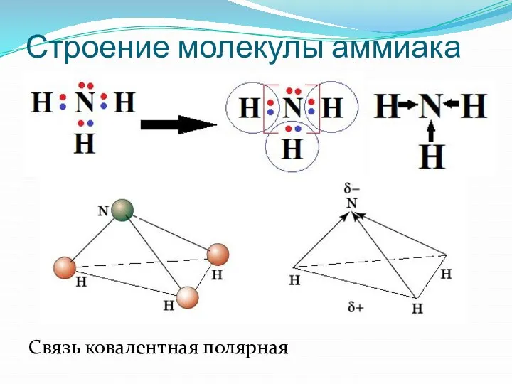 Строение молекулы аммиака NH3: Связь ковалентная полярная