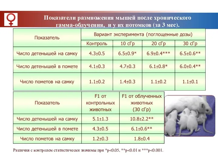 Показатели размножения мышей после хронического гамма-облучения, и у их потомков (за