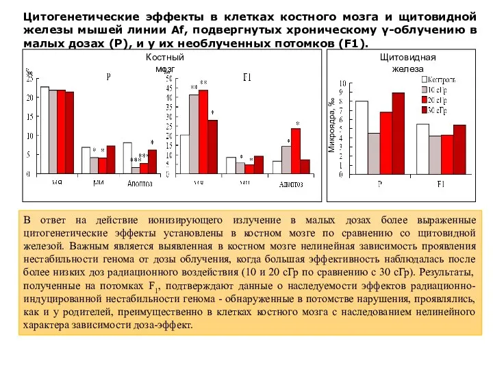 В ответ на действие ионизирующего излучение в малых дозах более выраженные