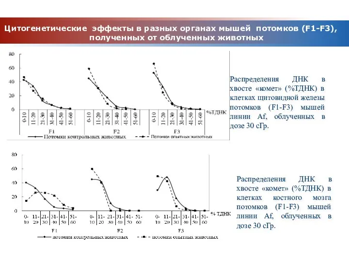 Цитогенетические эффекты в разных органах мышей потомков (F1-F3), полученных от облученных