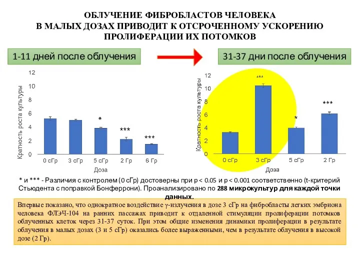 ОБЛУЧЕНИЕ ФИБPОБЛАCТОВ ЧЕЛОВЕКА В МАЛЫX ДОЗАX ПPИВОДИТ К ОТCPОЧЕННОМУ УCКОPЕНИЮ ПPОЛИФЕPАЦИИ