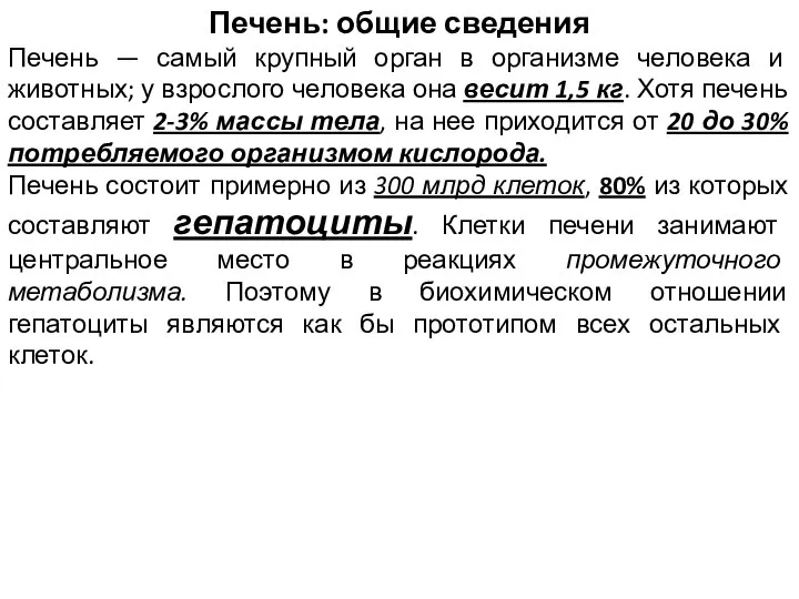 Печень: общие сведения Печень — самый крупный орган в организме человека