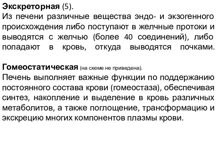 Экскреторная (5). Из печени различные вещества эндо- и экзогенного происхождения либо