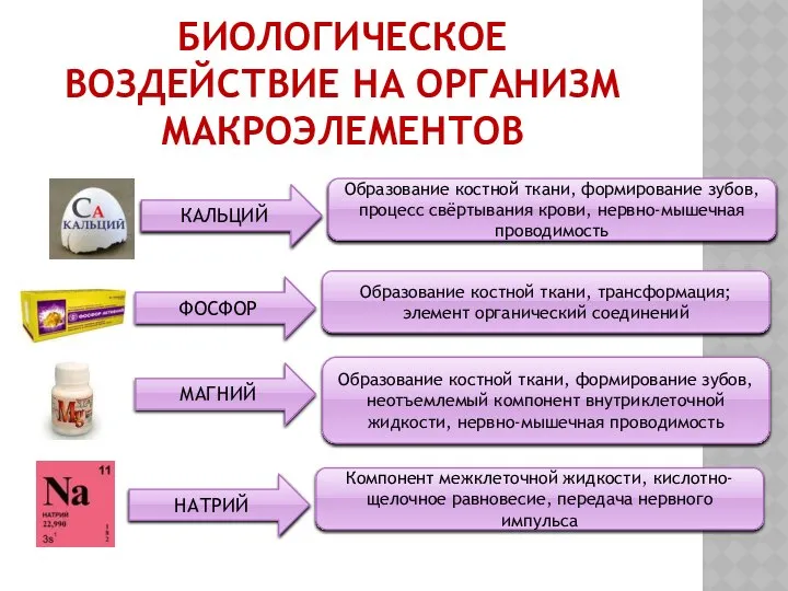 БИОЛОГИЧЕСКОЕ ВОЗДЕЙСТВИЕ НА ОРГАНИЗМ МАКРОЭЛЕМЕНТОВ