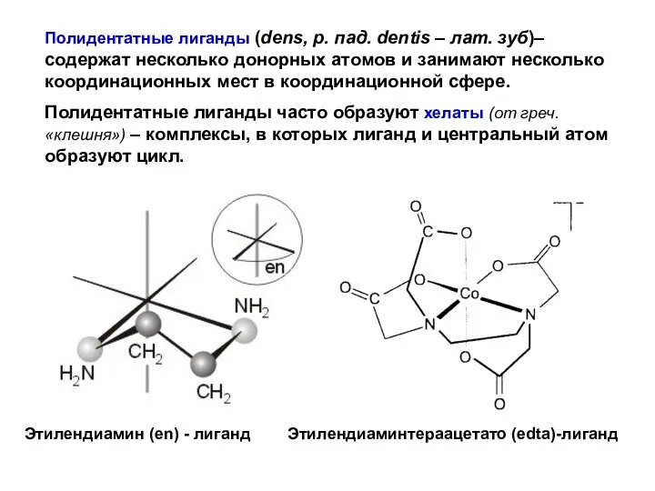 Полидентатные лиганды (dens, р. пад. dentis – лат. зуб)– содержат несколько