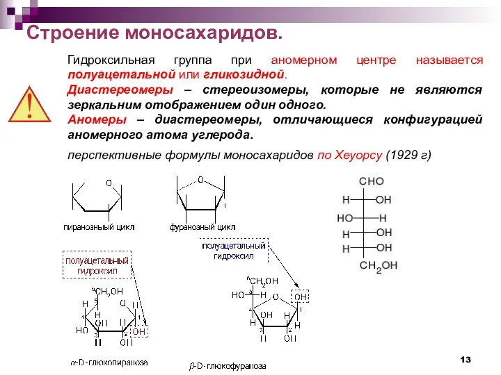 Строение моносахаридов. Гидроксильная группа при аномерном центре называется полуацетальной или гликозидной.