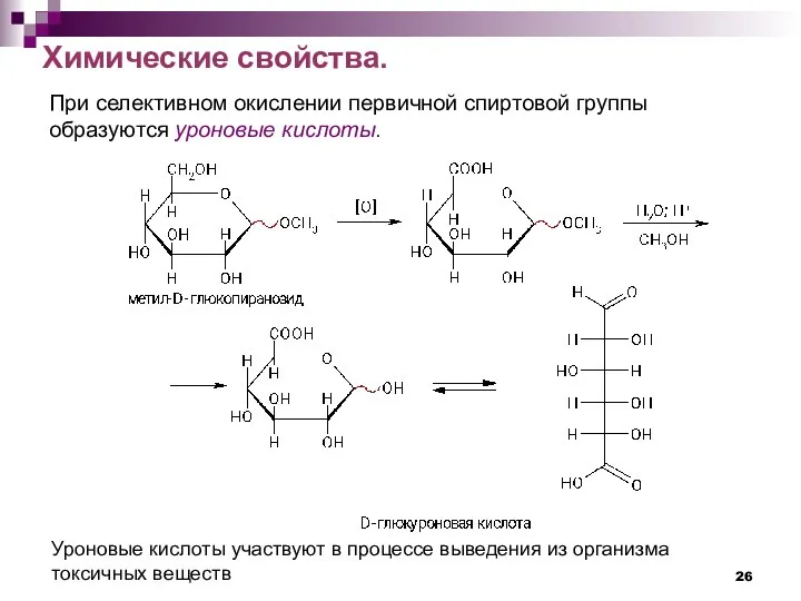 Химические свойства. При селективном окислении первичной спиртовой группы образуются уроновые кислоты.