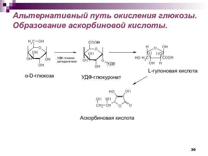 Альтернативный путь окисления глюкозы. Образование аскорбиновой кислоты. α-D-глюкоза УДФ-глюкуронат L-гулоновая кислота Аскорбиновая кислота УДФ-глюкозо дегидрогеназа