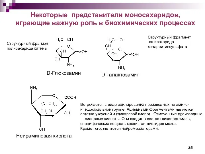 Некоторые представители моносахаридов, играющие важную роль в биохимических процессах D-Глюкозамин Структурный