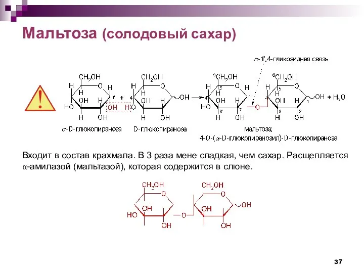 Мальтоза (солодовый сахар) Входит в состав крахмала. В 3 раза мене