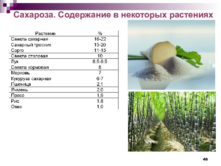 Сахароза. Содержание в некоторых растениях