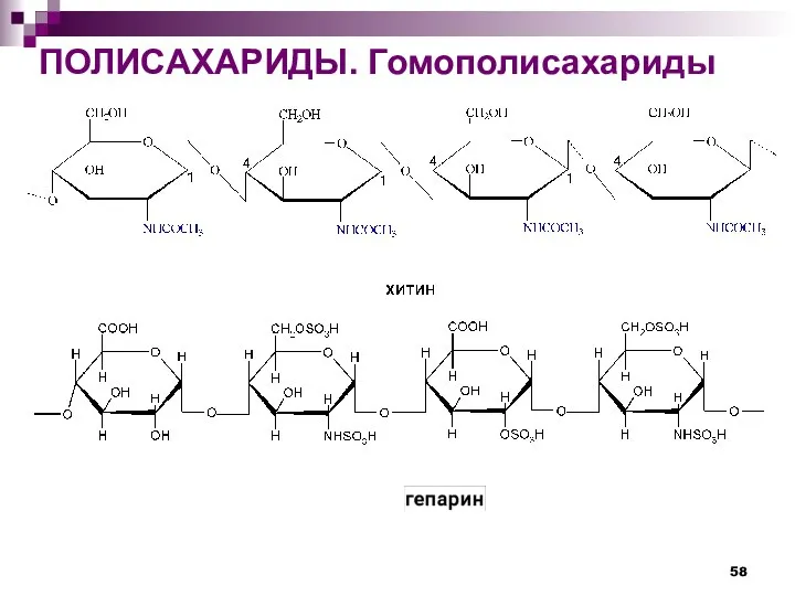 ПОЛИСАХАРИДЫ. Гомополисахариды