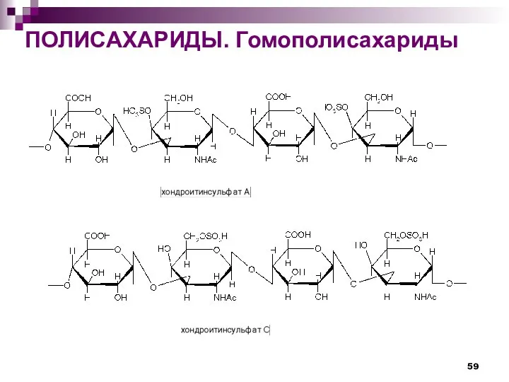 ПОЛИСАХАРИДЫ. Гомополисахариды