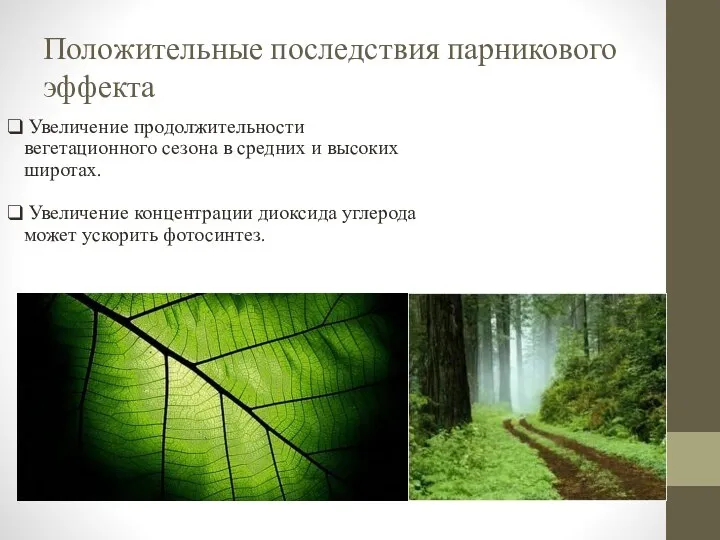 Положительные последствия парникового эффекта Увеличение продолжительности вегетационного сезона в средних и