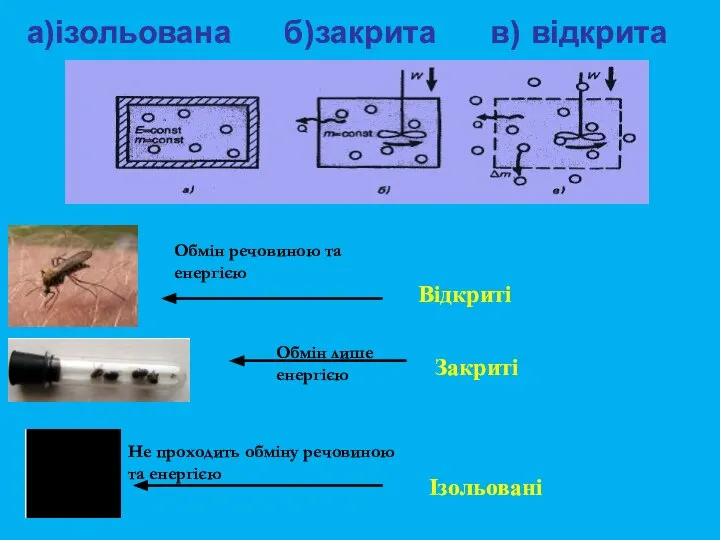 Відкриті Закриті Ізольовані Не проходить обміну речовиною та енергією Обмін речовиною