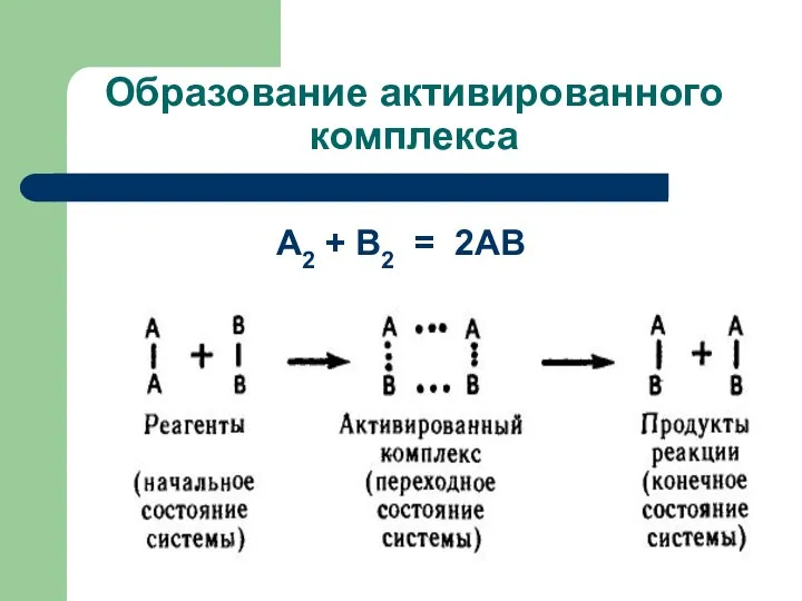 Образование активированного комплекса А2 + В2 = 2АВ