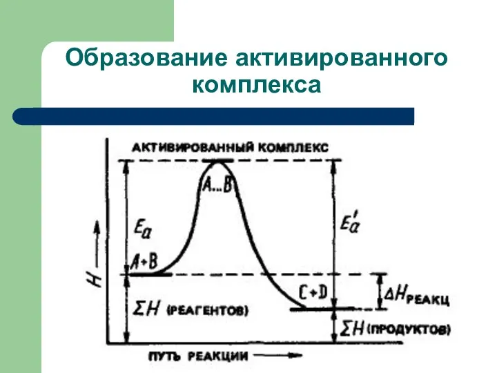 Образование активированного комплекса