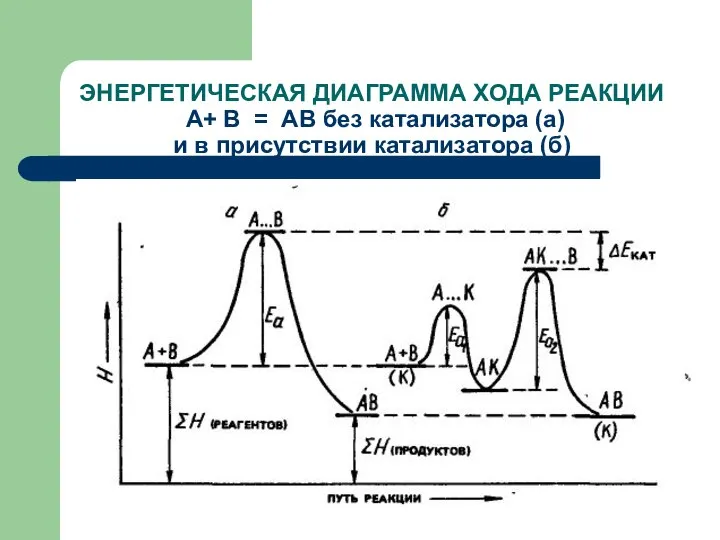 ЭНЕРГЕТИЧЕСКАЯ ДИАГРАММА ХОДА РЕАКЦИИ А+ В = АВ без катализатора (а) и в присутствии катализатора (б)