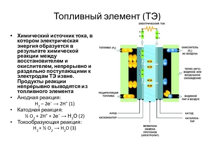 Топливный элемент (ТЭ) Химический источник тока, в котором электрическая энергия образуется