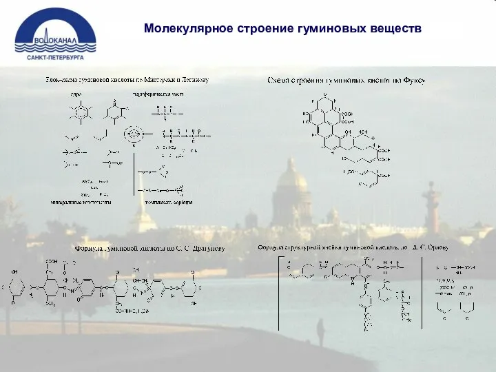 Молекулярное строение гуминовых веществ