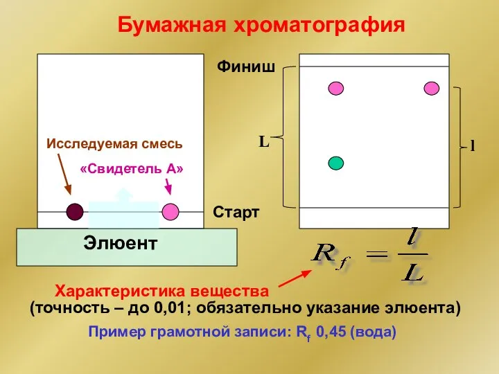 Исследуемая смесь «Свидетель A» Элюент Бумажная хроматография Финиш Старт L l