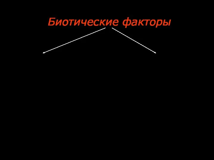 Биотические факторы Межвидовые отношения - Гетеротипические реакции Внутривидовые отношения - Гомотипические реакции.