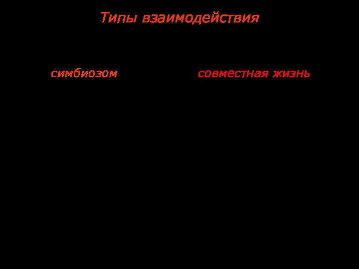 Типы взаимодействия Под симбиозом понимается совместная жизнь (от греч. symbiosis —