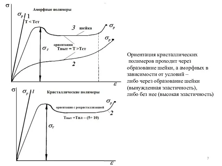 Ориентация кристаллических полимеров проходит через образование шейки, а аморфных в зависимости