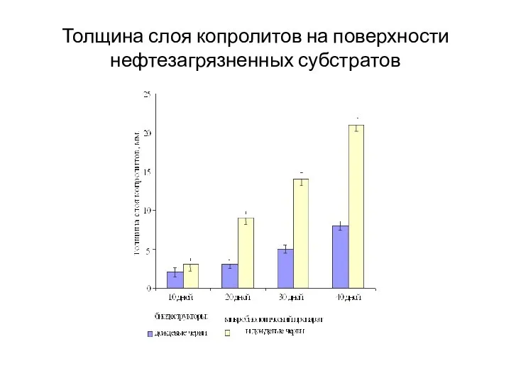 Толщина слоя копролитов на поверхности нефтезагрязненных субстратов