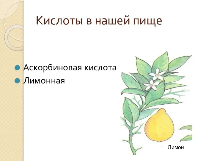 Кислоты в нашей пище Аскорбиновая кислота Лимонная Лимон