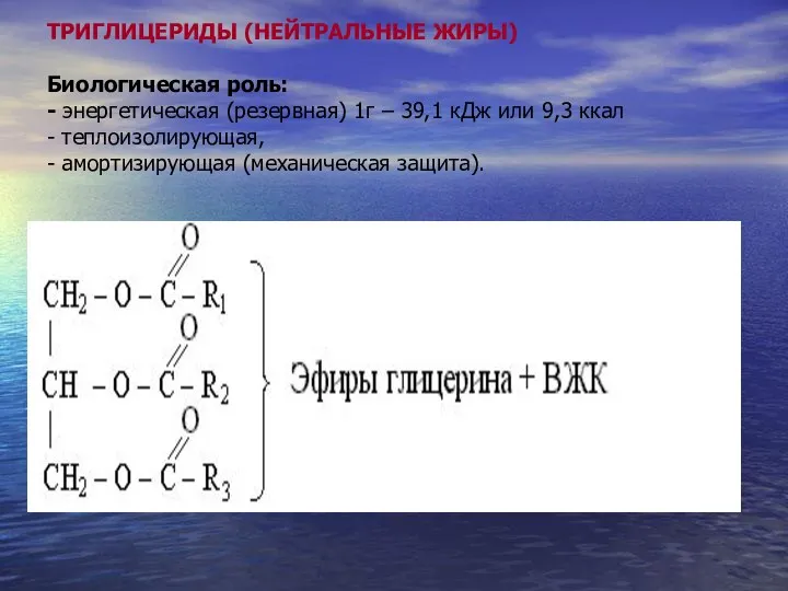 ТРИГЛИЦЕРИДЫ (НЕЙТРАЛЬНЫЕ ЖИРЫ) Биологическая роль: - энергетическая (резервная) 1г – 39,1