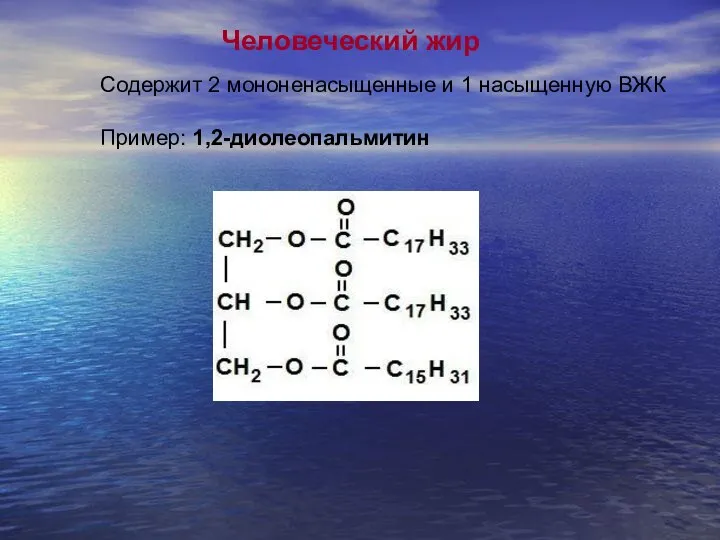 Человеческий жир Содержит 2 мононенасыщенные и 1 насыщенную ВЖК Пример: 1,2-диолеопальмитин