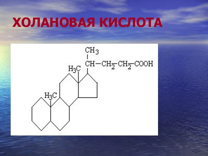 ХОЛАНОВАЯ КИСЛОТА