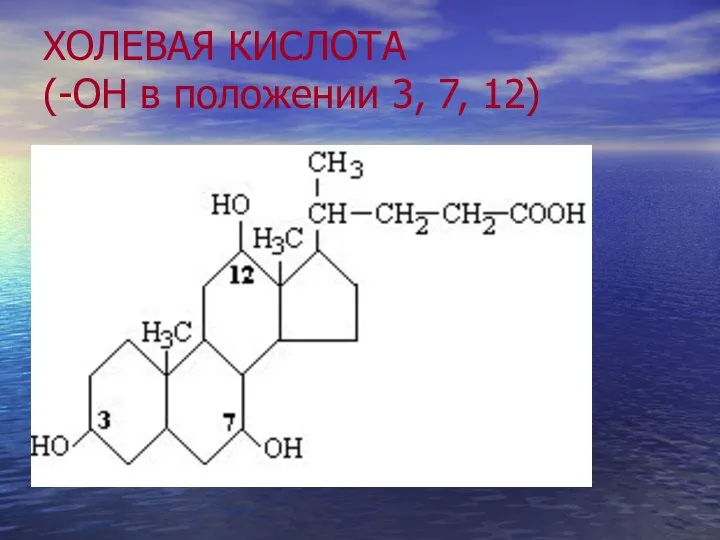 ХОЛЕВАЯ КИСЛОТА (-ОН в положении 3, 7, 12)