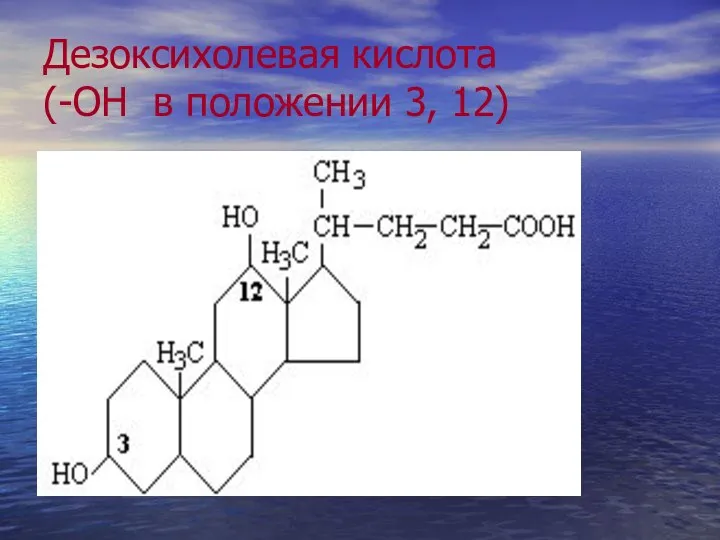 Дезоксихолевая кислота (-ОН в положении 3, 12)