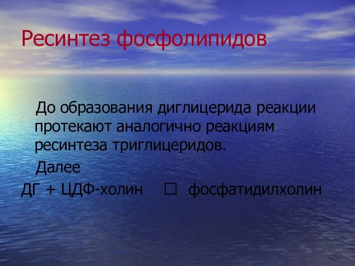 Ресинтез фосфолипидов До образования диглицерида реакции протекают аналогично реакциям ресинтеза триглицеридов.