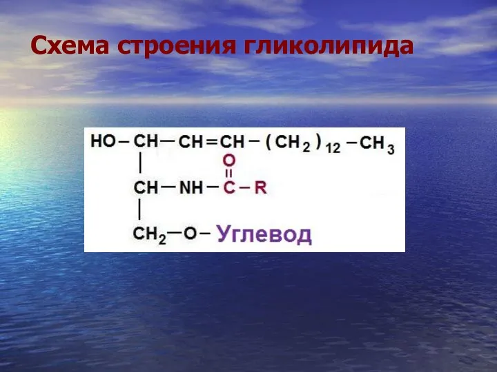 Схема строения гликолипида