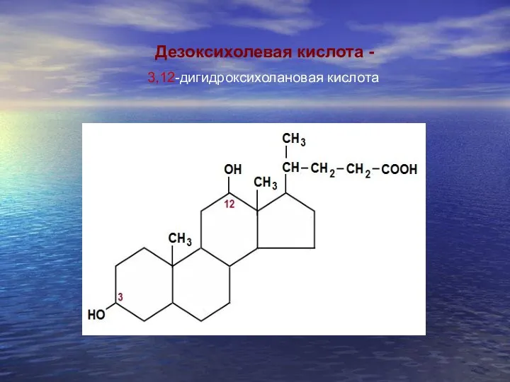 3,12-дигидроксихолановая кислота Дезоксихолевая кислота -