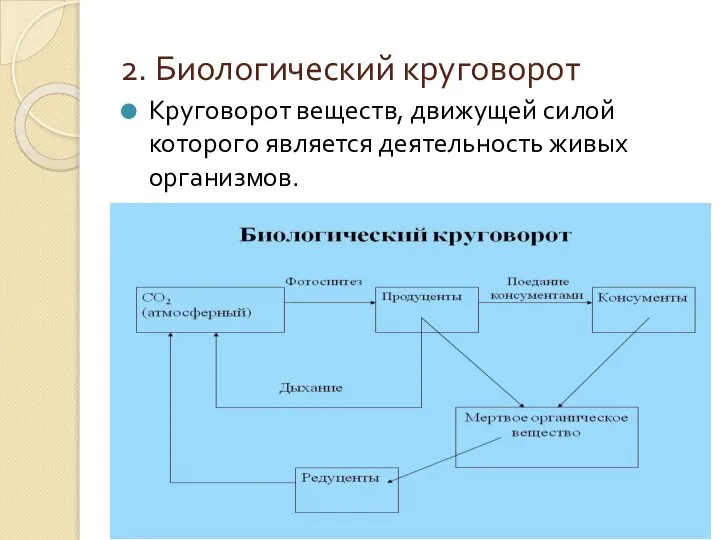 2. Биологический круговорот Круговорот веществ, движущей силой которого является деятельность живых организмов.