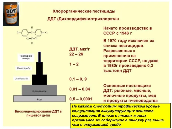 На каждом следующим трофическом уровне концентрация аккумулирующих веществ возрастает. В итоге