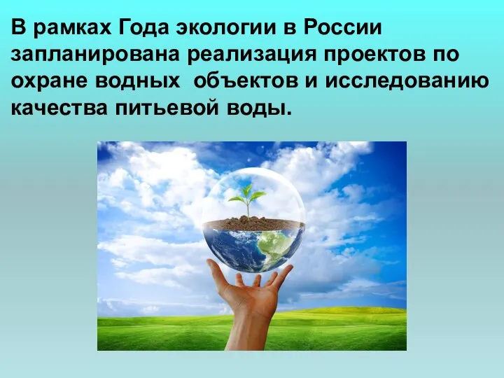 В рамках Года экологии в России запланирована реализация проектов по охране