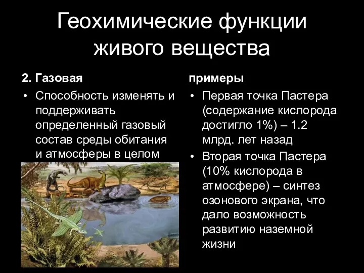 Геохимические функции живого вещества 2. Газовая Способность изменять и поддерживать определенный