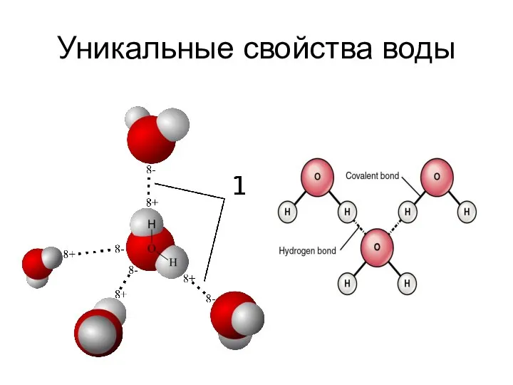 Уникальные свойства воды