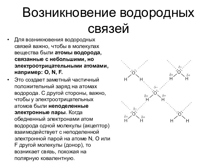 Возникновение водородных связей Для возникновения водородных связей важно, чтобы в молекулах