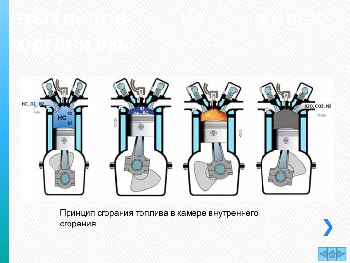 Вредное воздействие выхлопов на живые организмы Принцип сгорания топлива в камере внутреннего сгорания