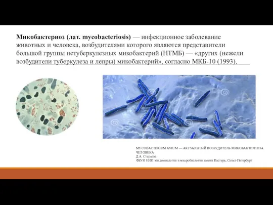 Микобактериоз (лат. mycobacteriosis) — инфекционное заболевание животных и человека, возбудителями которого