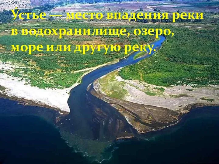 У́стье — место впадения реки в водохранилище, озеро, море или другую реку.