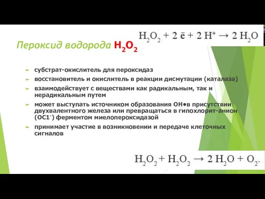 Пероксид водорода Н2О2 субстрат-окислитель для пероксидаз восстановитель и окислитель в реакции